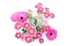 Blumen
